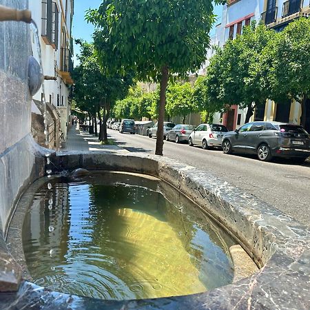 San Fernando 27 Atico Διαμέρισμα Κόρδοβα Εξωτερικό φωτογραφία
